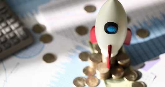 Notícias 6 Aprenda a calcular a analise da rentabilidade da sua empresa 530x281 1